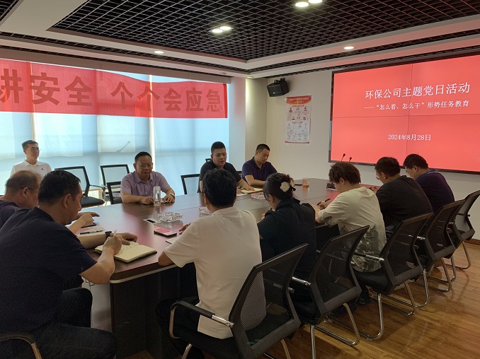 环保公司党支部开展“‘怎么看、怎么干’形势任务教育”主题党日活动